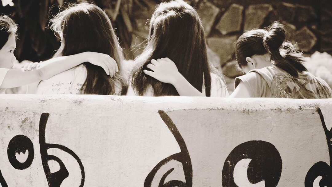 header-cameleon14