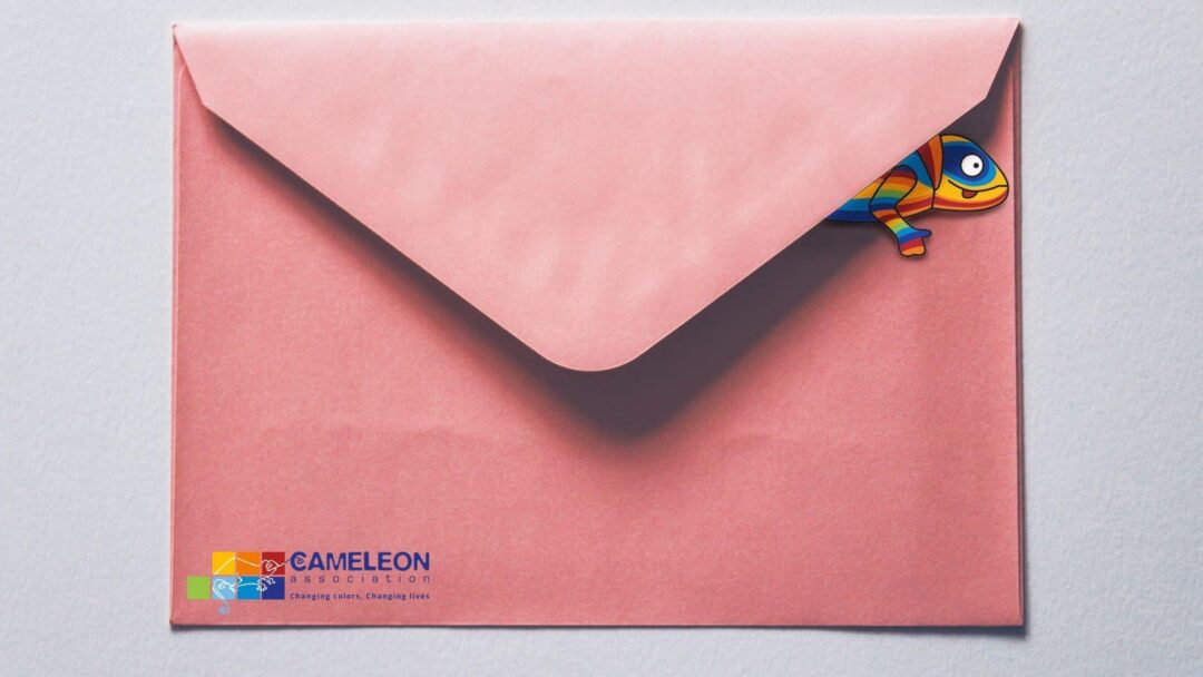 CAMELEON_mise sous pli