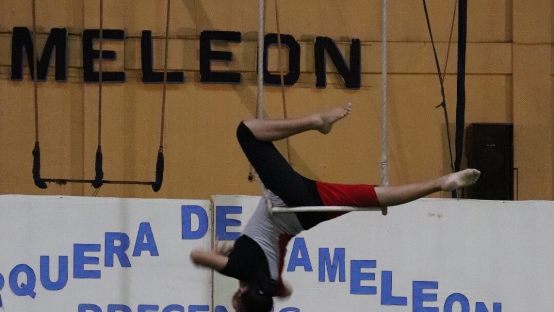 Christine au cirque