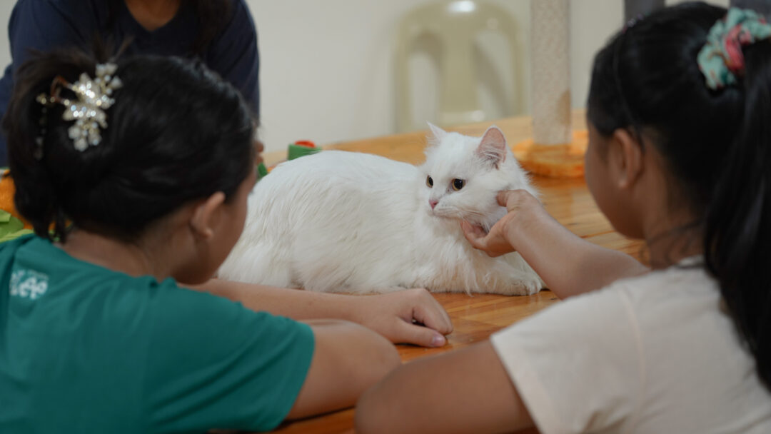 AAT_CATS_2024-44