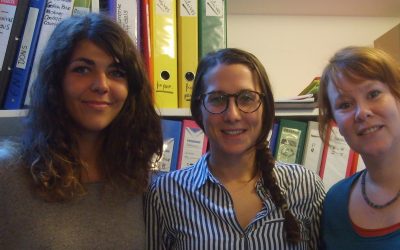Bienvenue à la nouvelle équipe salariée de CAMELEON France !