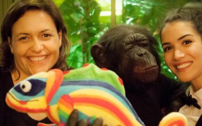 Nos ambassadeurs adoptent la mascotte de CAMELEON