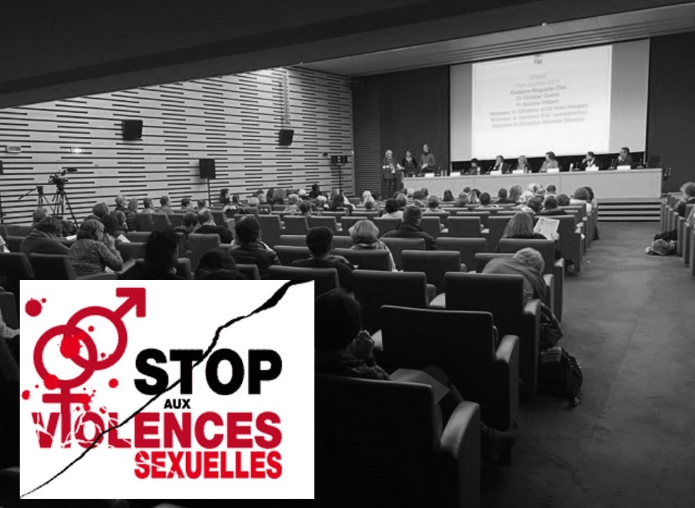 CAMELEON participe aux 4 ème Assises Nationales contre les violences sexuelles