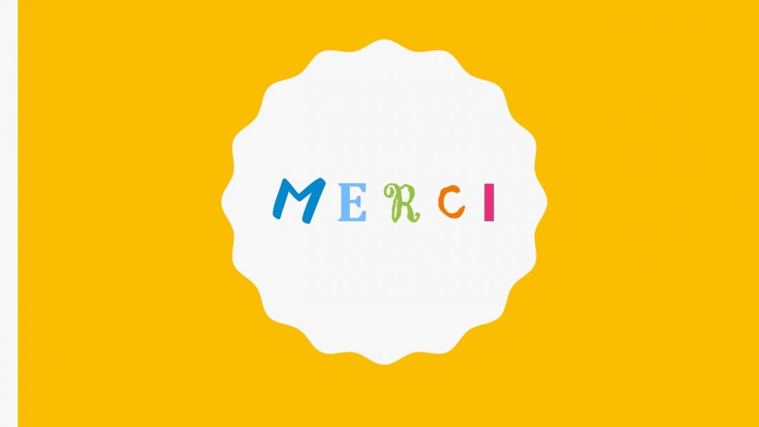 Volunteers of CAMELEON in France, from april to june 2018