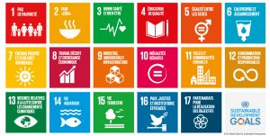 the global goals for the sustainable development