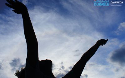 Les Objectifs de Développement Durable (ODD)