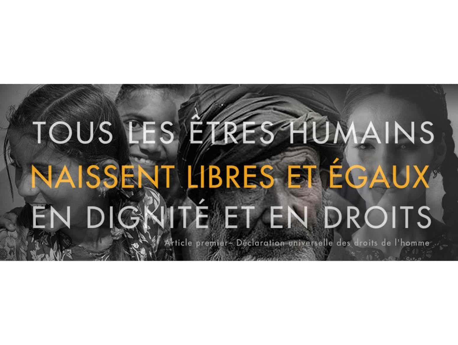 Enjeux et histoire des Droits humains : de la Déclaration Universelle des Droits de l’Homme aux Objectifs de Développement Durable