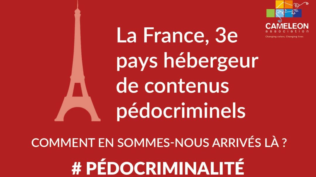 Infos poupées sexuelles CAMELEON