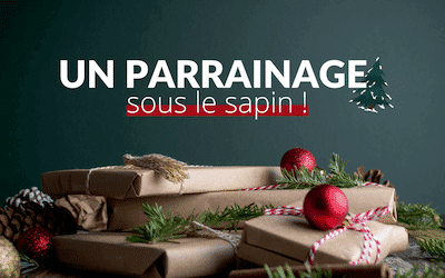 Un Noël engagé : offrez un parrainage à votre enfant 🎁