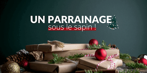 Un Noël engagé : offrez un parrainage à votre enfant 🎁