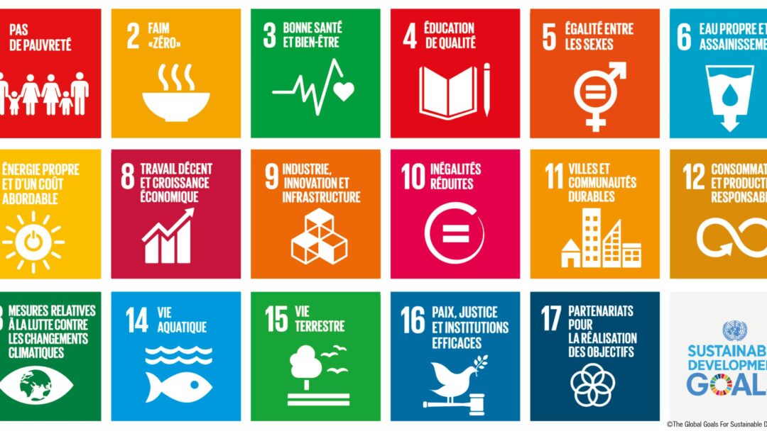 the global goals for the sustainable development